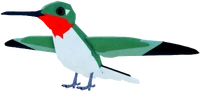 HummingbirdAdultRUBYTHROATED