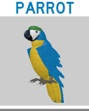 Parrot Roblox Feather Family Wiki Fandom - 1 feather family parakeet roblox parakeet