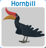 Hornbill | Feather Family Wiki | Fandom