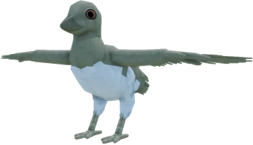  Birds　Dyynia Pure shock:' Hundreds flock to Green Bay for rare sighting