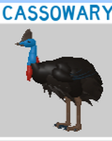 Cassowary Roblox Feather Family Wiki Fandom - bird legs roblox
