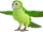 Kākā