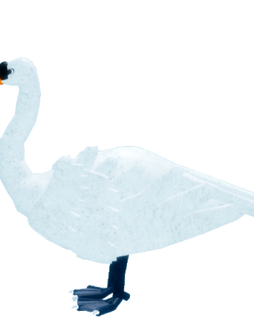 Swan Roblox Feather Family Wiki Fandom - feather family roblox wiki