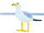 Gull