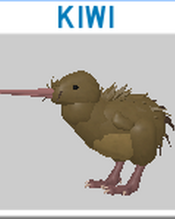 Kiwi Roblox Feather Family Wiki Fandom