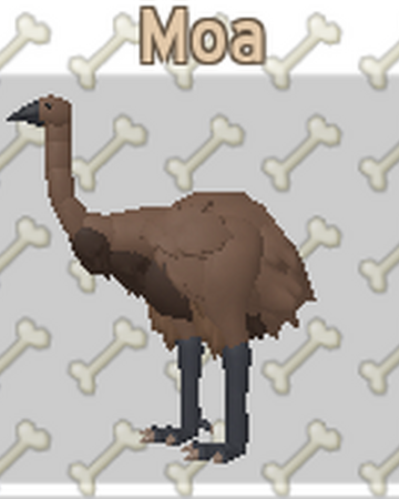 Moa Roblox Feather Family Wiki Fandom - bird legs roblox