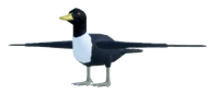 DuckAdultSWEDISHBLUE