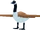 Goose