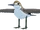 Sandpiper