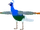 Peafowl