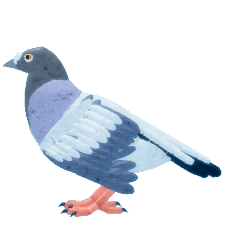 Pigeon Roblox Feather Family Wiki Fandom - roblox feather family flamingo remodel