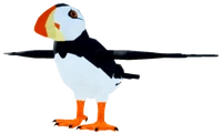 AukAdultPUFFINRPRHorned
