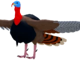 Turkey