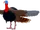 Turkey