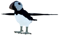 AukAdultPUFFINRPRWinterPlumage