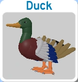 Duck on the menu screen.