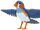 Finch
