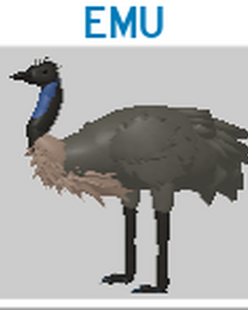 Emu Roblox Feather Family Wiki Fandom - roblox feather family videos