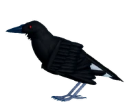 A transparent screenshot of the old Raven model.