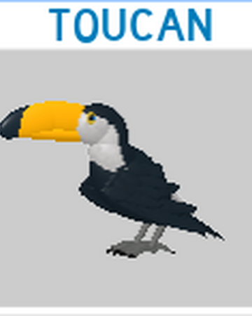 Toucan Roblox Feather Family Wiki Fandom