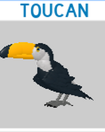 Toucan Roblox Feather Family Wiki Fandom - roblox feather family dodo bird