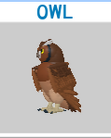 Owl Roblox Feather Family Wiki Fandom - roblox feather family owl