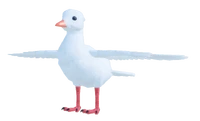 DuckFemaleDOMESTICWHITEMANDARIN
