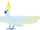Cockatoo