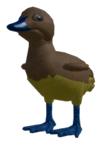 DuckHatchlingKHAKICAMPBELLMALLARD