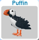 Auk on the menu screen prior to the Dovekie Auk.