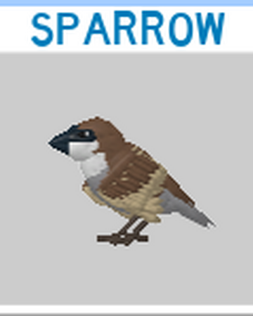 Sparrow Roblox Feather Family Wiki Fandom