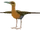Rail