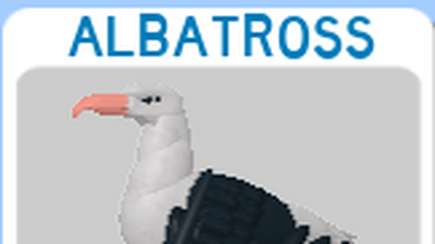 Discuss Everything About Roblox Feather Family Wiki Fandom - feather family roblox albatross
