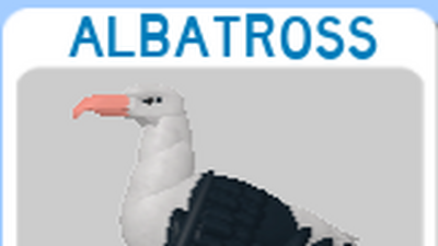 Discuss Everything About Roblox Feather Family Wiki Fandom - roblox feather family wiki fandom feather family roblox albatross Discuss Everything About Roblox Feather Family Wiki Fandom - feather family roblox albatross