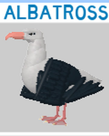Albatross Roblox Feather Family Wiki Fandom - roblox feather family cockatrice