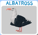 Category Birds Roblox Feather Family Wiki Fandom - roblox wild swan animals birds feather family ÑÐ¼Ð¾Ñ‚Ñ€ÐµÑ‚ÑŒ