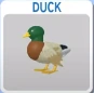 The Duck's old model.