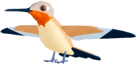 HummingbirdAdultRUBYTHROATEDRPRRufous