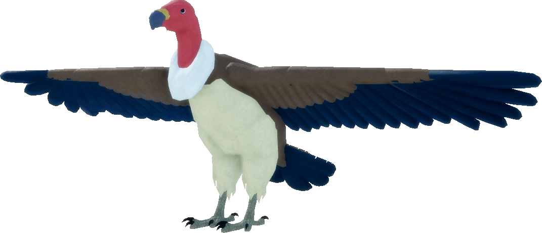 Vulture | Feather Family Wiki | Fandom