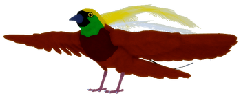 Bird of Paradise | Feather Family Wiki | Fandom