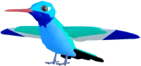 HummingbirdAdultRUBYTHROATEDRPRBroadBilled