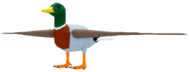 Drake