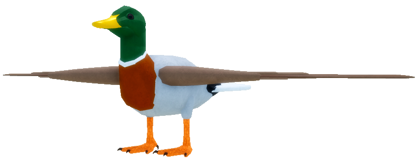 Duck Skins - Roblox