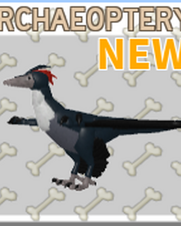 Archaeopteryx Roblox Feather Family Wiki Fandom - feather family roblox wiki