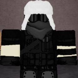 Bag, Roblox - In Plain Sight 2 Wiki