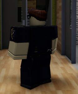 Police Officer Pacifico 2 Wiki Fandom - roblox pacifico how to do police job
