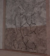 The Cracked Door in Lab.