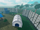 Survivor Camp