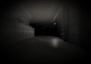 Temple leak 1