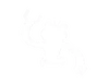 Disarm